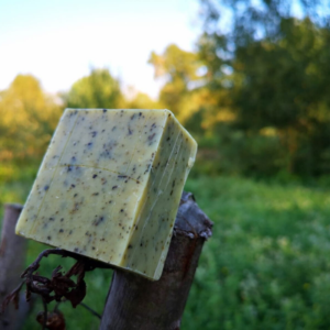 savon du jardin f'ânes de carottes